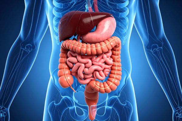 digestive disorders causes